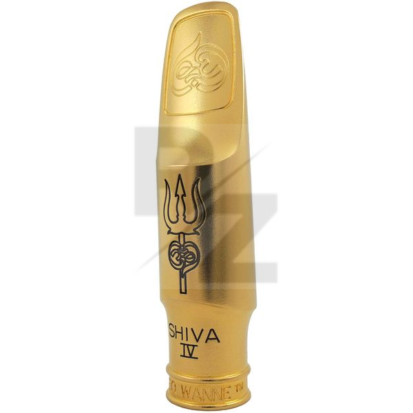 Image Theo Wanne Shiva IV Alto 8 Gold