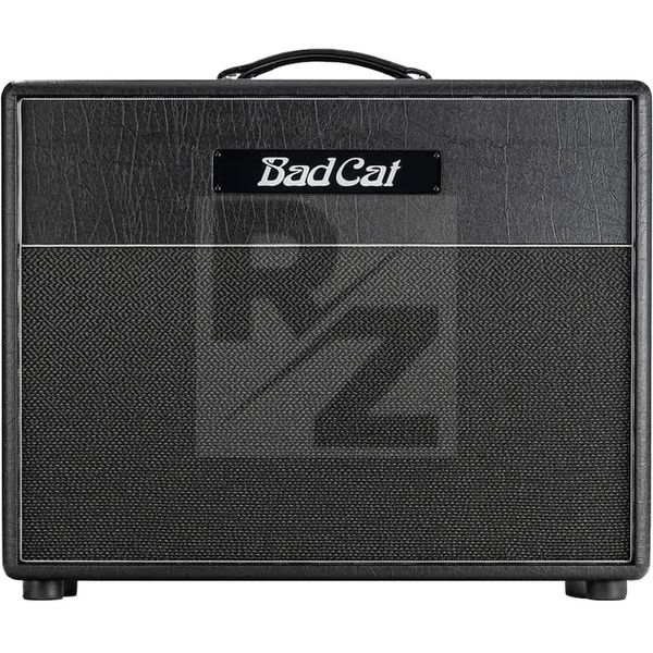 Image Bad Cat Hot Cat 1x12 Cab