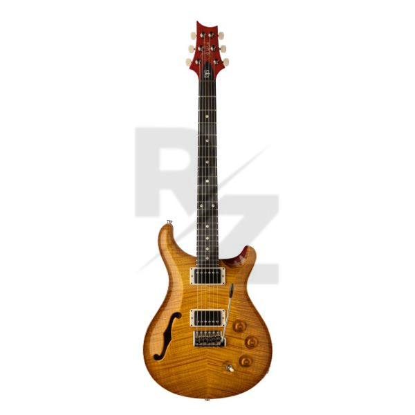 Image PRS DGT Semi-Hollow LTD