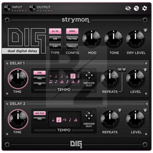Image Strymon DIG Plugin