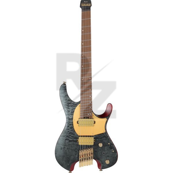 Image Ibanez MGFM10-OBL