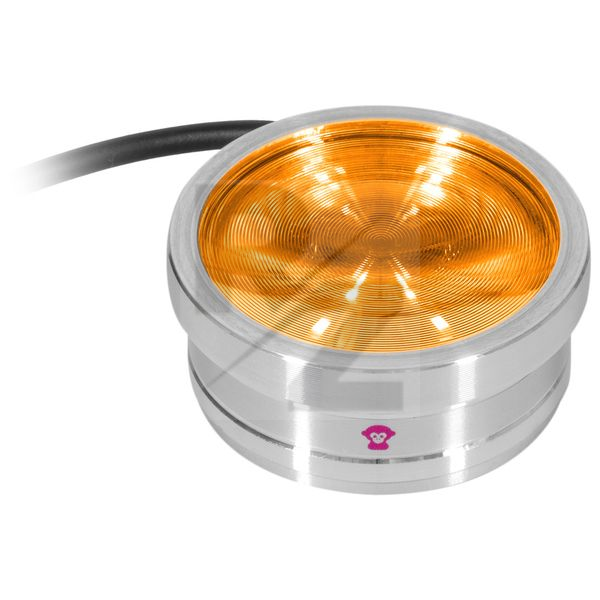 Image Ape Labs ApeCoin V2 IP