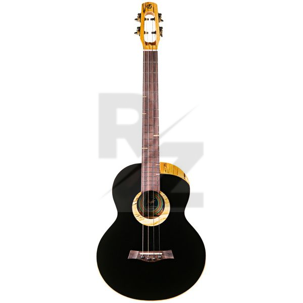 Image Flight 4SB Sammy Turton Baritone