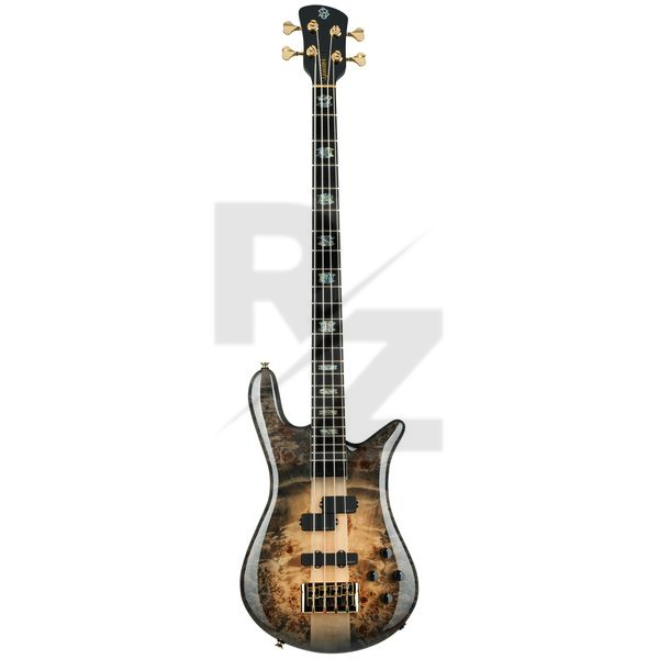Image Spector Euro 4 CST Natural Black Burst