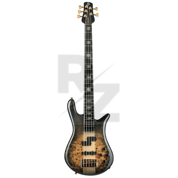 Image Spector Euro 5 CST Natural Black Burst