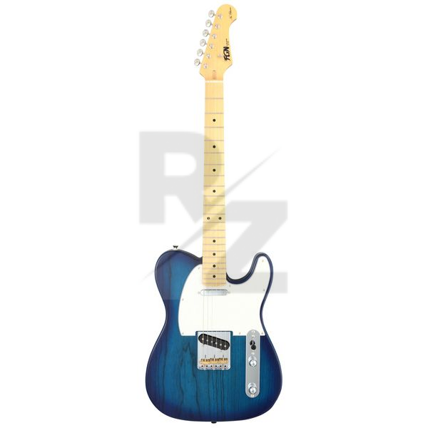 Image FGN Neo Classic TE100 SS SBB