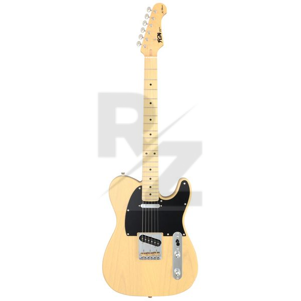 Image FGN Neo Classic TE100 SS OWB