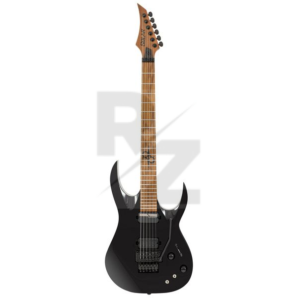Image Solar Guitars AB1.6FRMNS Sustainiac+