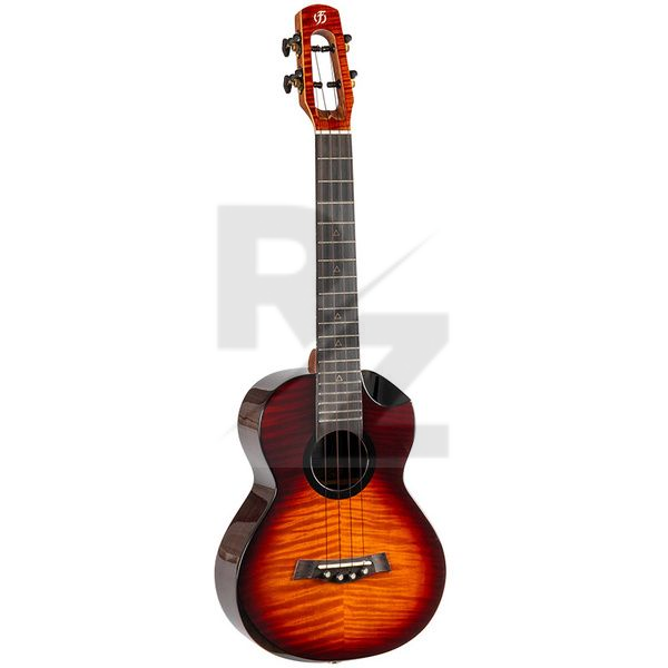 Image Flight Navigator Tenor EQ-A SB