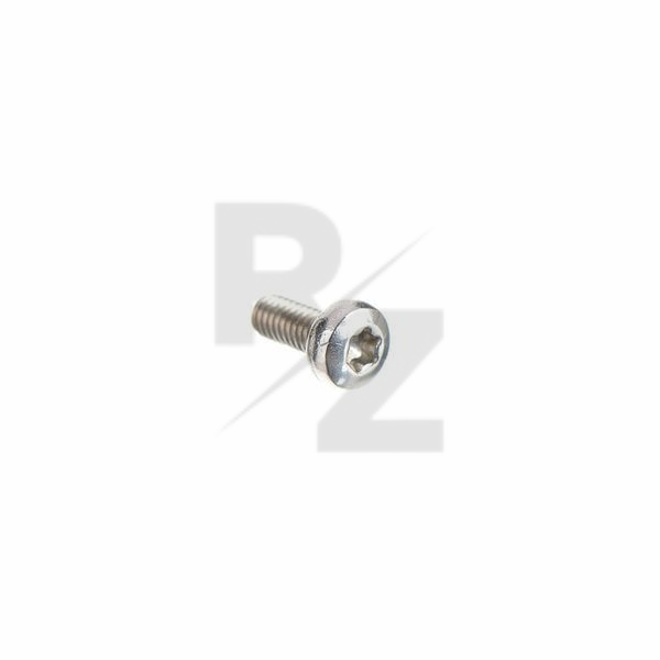 Image B&S Strike Iron Screw M2,5 x 6