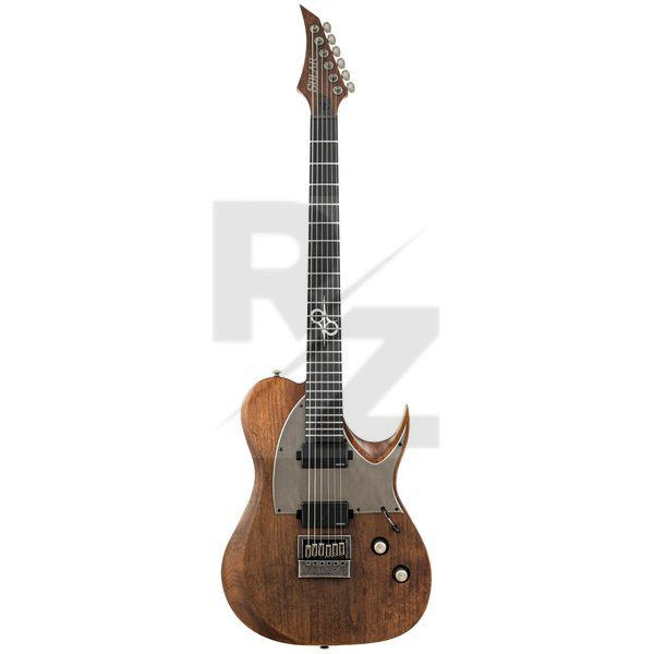 Image Solar Guitars T1.6AD Aged Natural