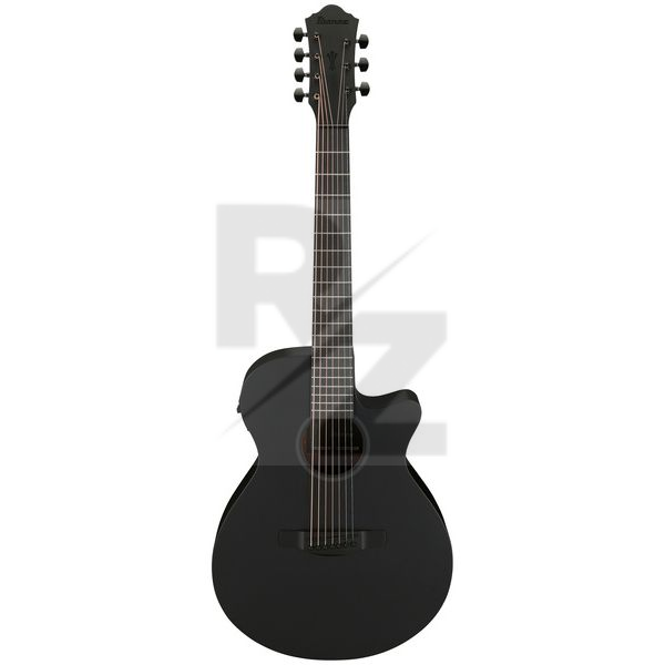 Image Misc. Acoustic Guitars Ibanez AEG721-BOT