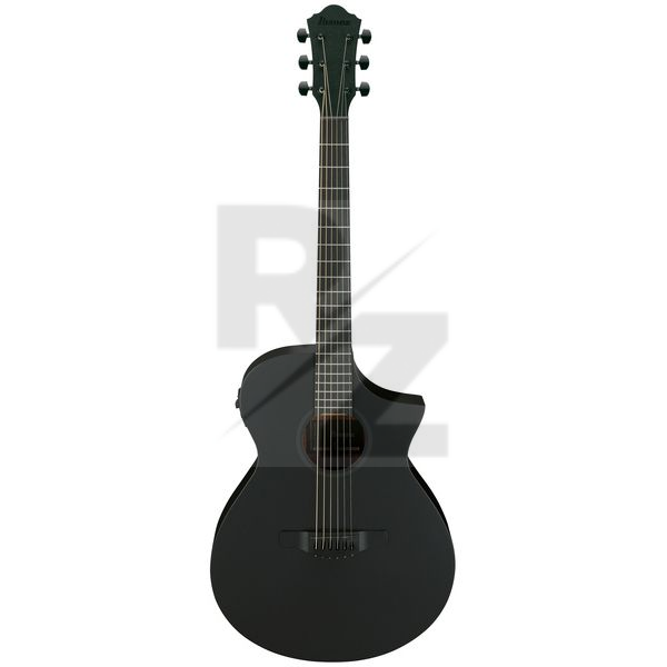Image Ibanez AEWC621-BOT