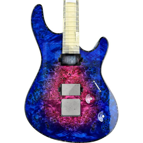 Image Mayones Guitars Regius 4EVER 6 B27