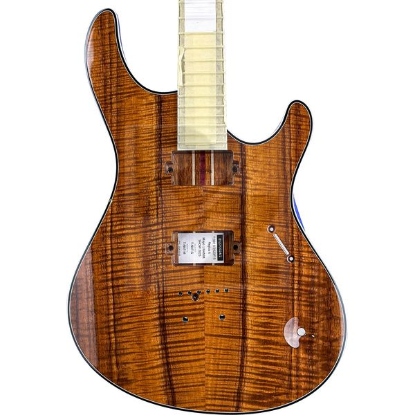 Image Mayones Guitars Regius 6 Koa
