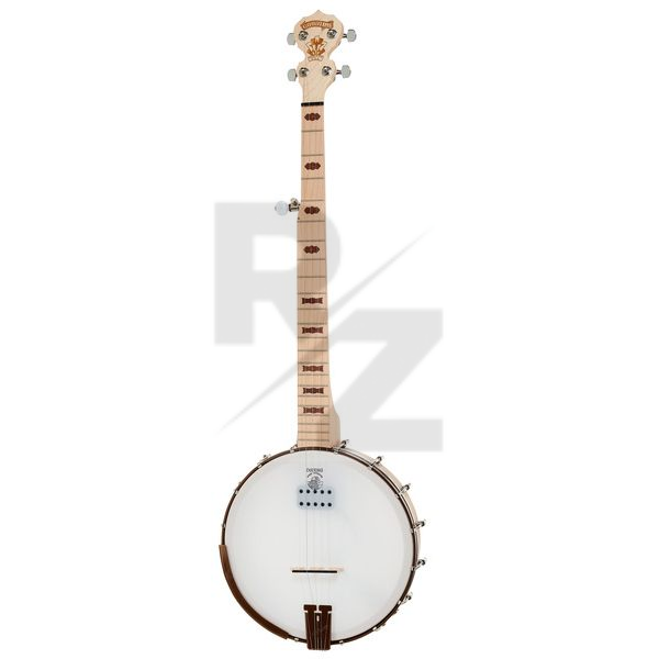 Image Deering Goodtime Deco A/E Banjo