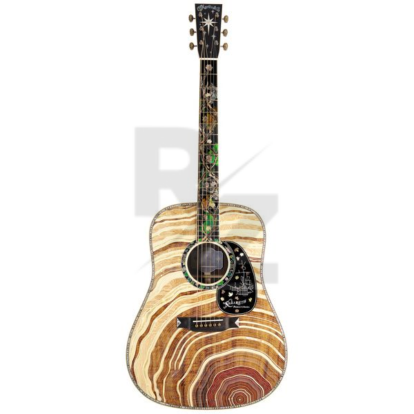 Image Martin Guitar D-300