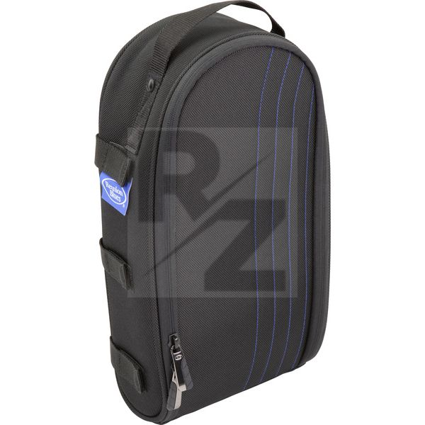 Image Reunion Blues Expedition Side Kick Large