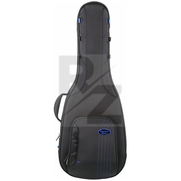 Image Reunion Blues Exp Small Body Acoustic Case