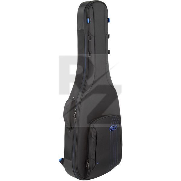 Image Reunion Blues Expedition Semi-Hollow Gigbag