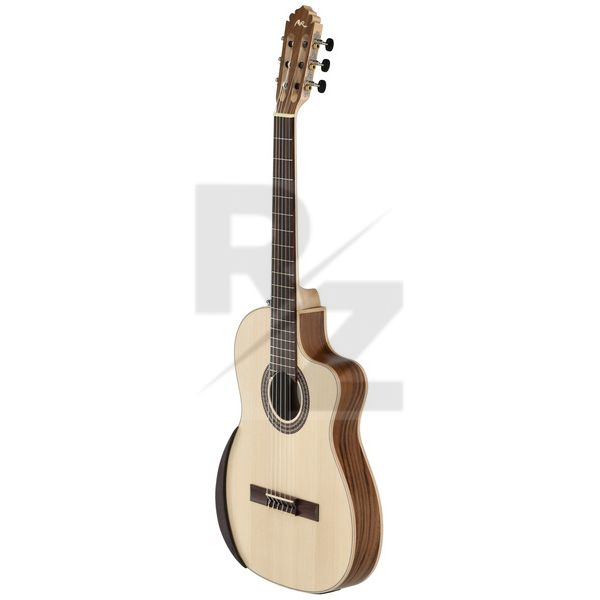 Image Manuel Rodriguez Ecologia Samba Plano Truss Rod