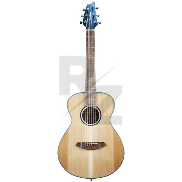 Breedlove Discovery S Companion Image Breedlove Discovery S Companion