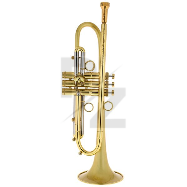 Image Taylor Trumpets Chicago Standard Bb-Trumpet