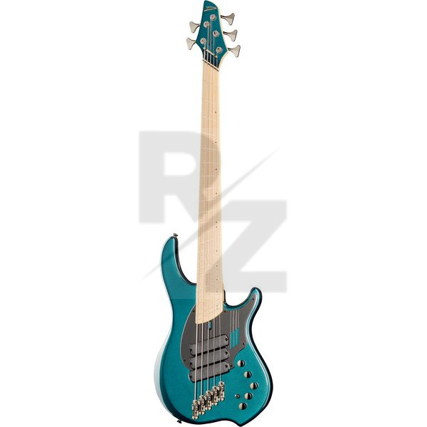 Image Dingwall NG3 Nolly Sig.5 Black Forrest